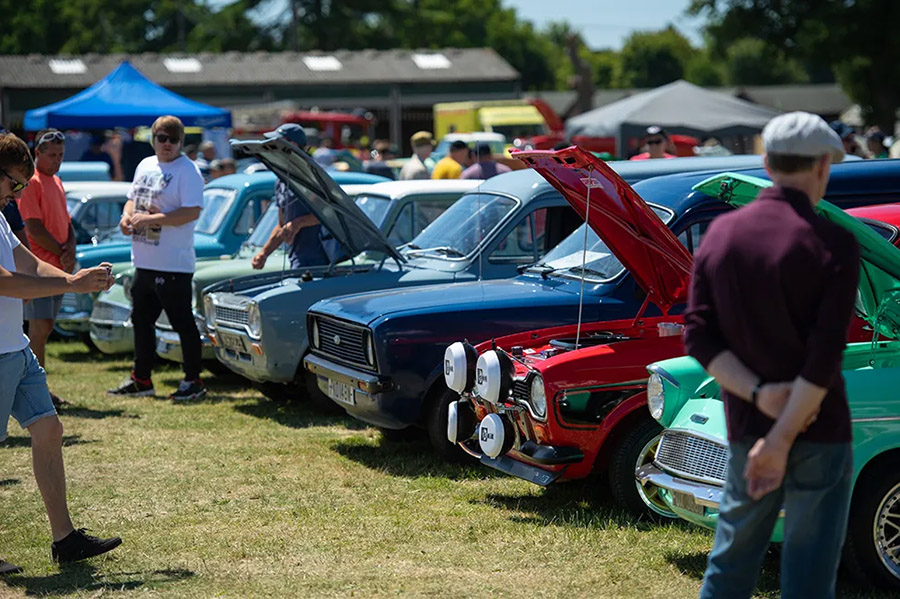 Classic Ford ICONS